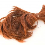 Hair sample