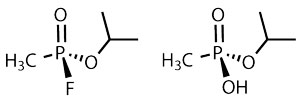Sarin-and-IMPA-structures