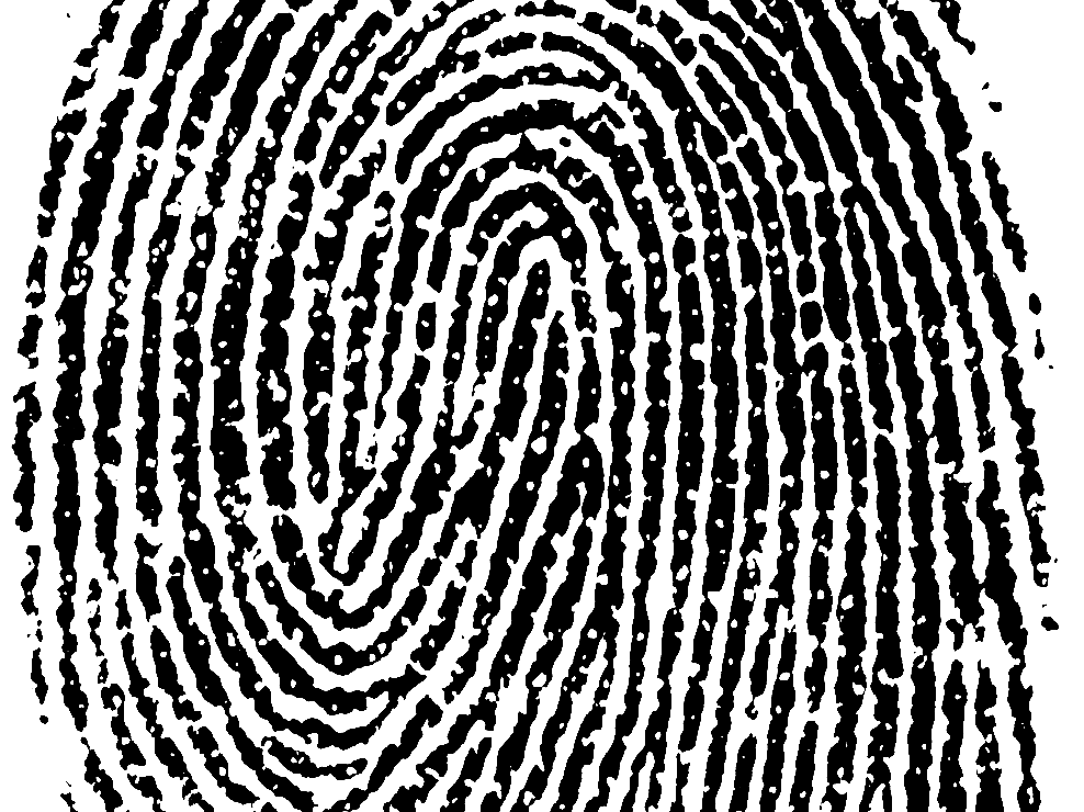 Close-up of a black and white fingerprint pattern.